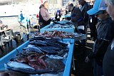 Vieux_Port12